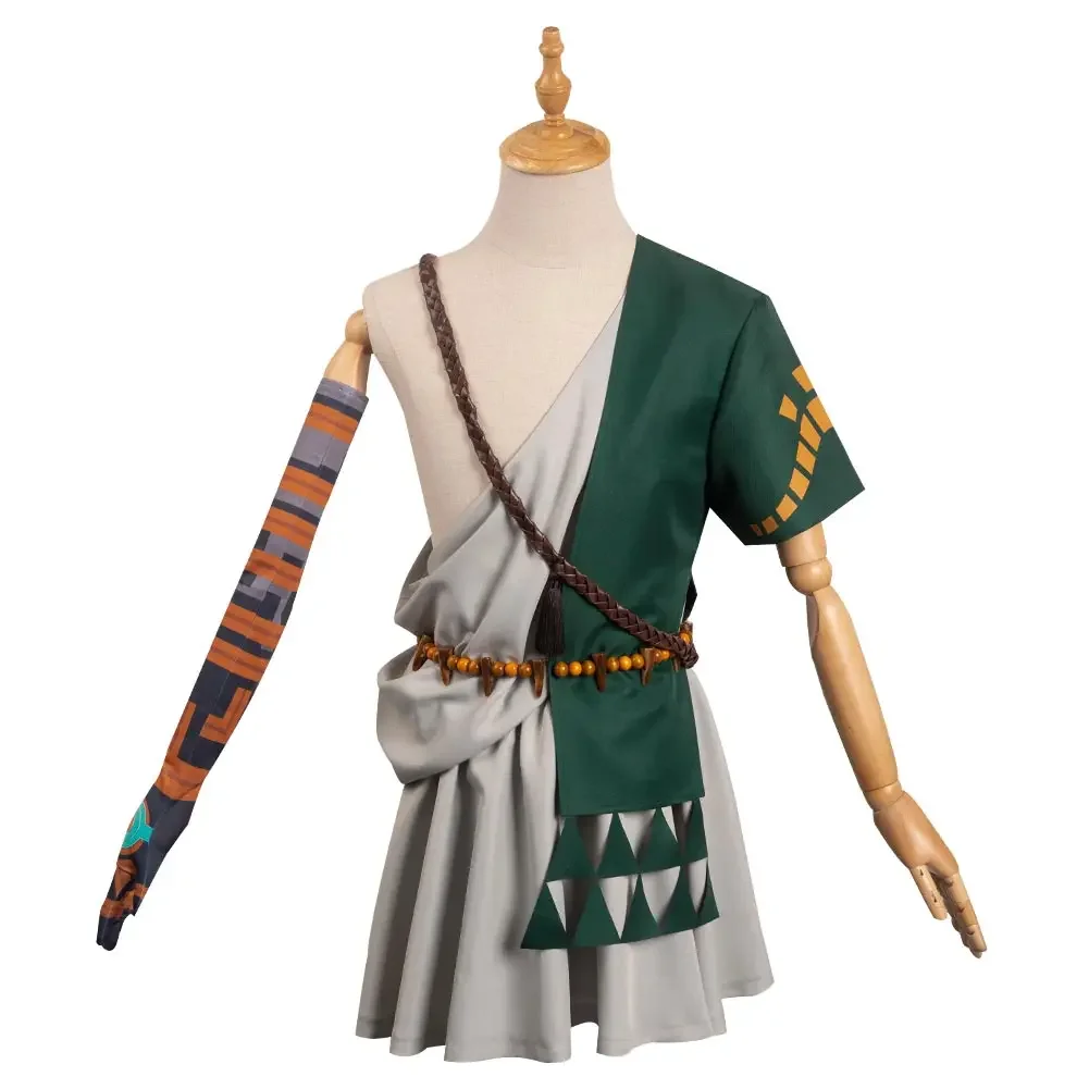 Anime Cosplay Link - Zelda: Tears of the Kingdom Link